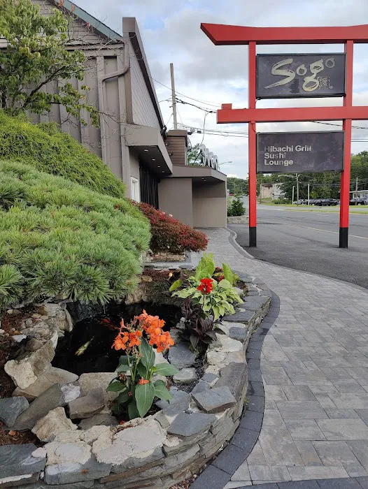 Sogo Hibachi Grill Picture 7