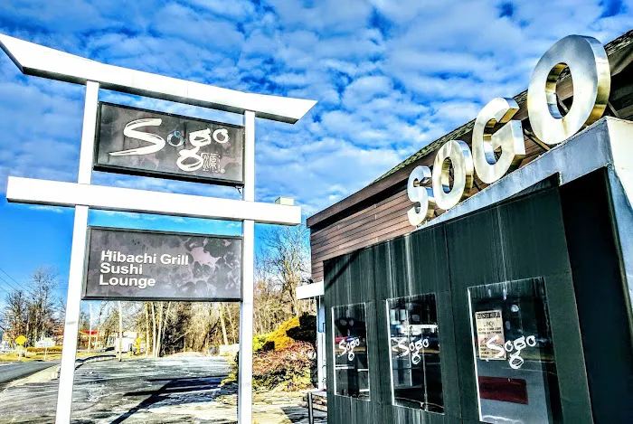 Sogo Hibachi Grill Picture 10