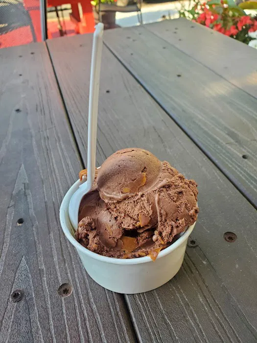 Denville Dog & Grill Picture 7