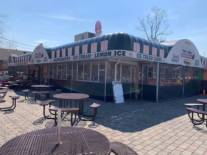 Denville Dog & Grill Picture 5