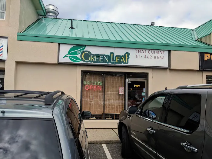 Thai Green Leaf Picture 4