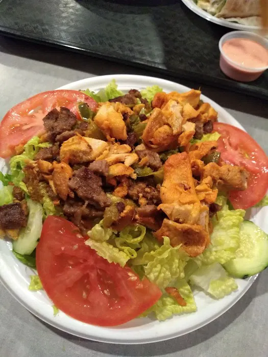 European Republic Picture 8