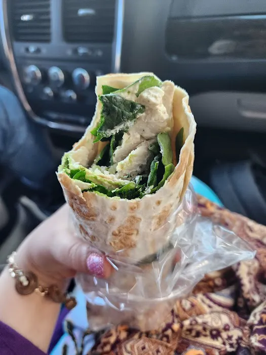 European Republic Picture 10