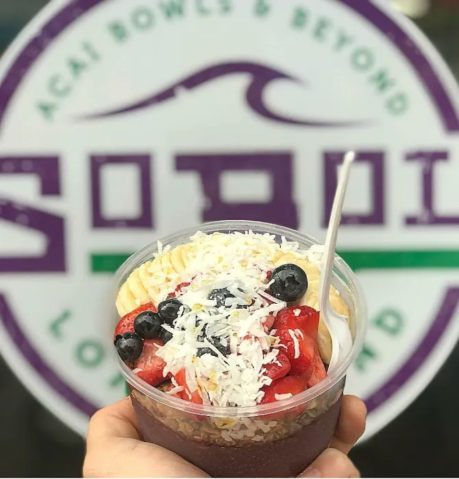 SoBol Commack Picture 6