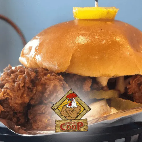 Chicken Coop Picture 9