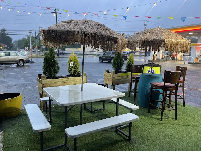 Reggae Goose Picture 3