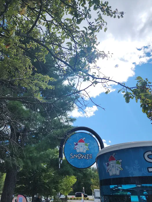 Snowie of Putnam Picture 3