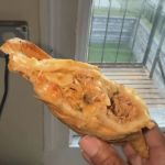 Zile Zest Haitian Cuisine