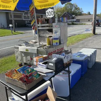Mean Dogs Hot Dog Stand Picture 7