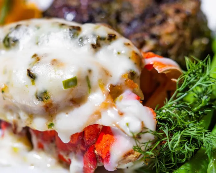 Papillon 25 Picture 6