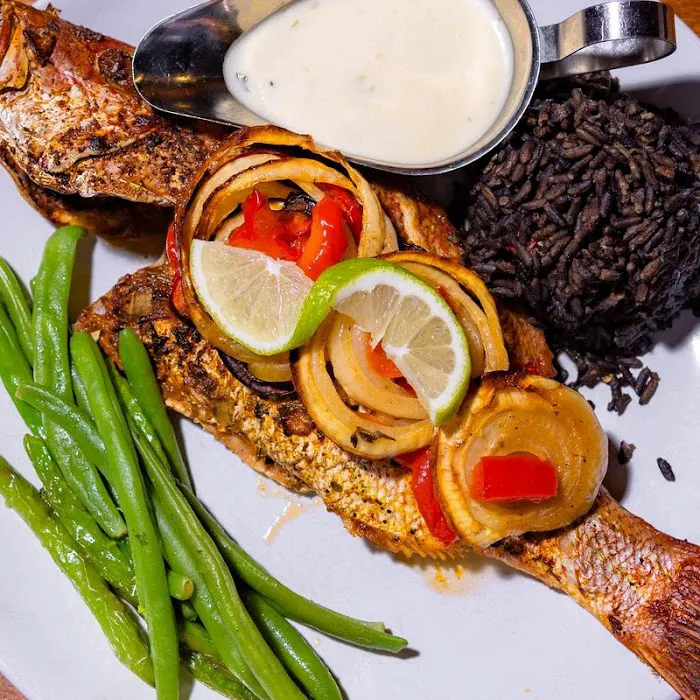 Papillon 25 Picture 10