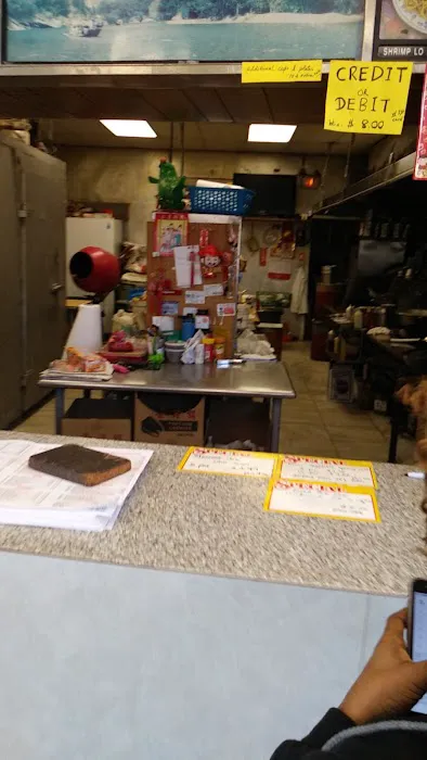 Panda Kitchen Restaurant Picture 1