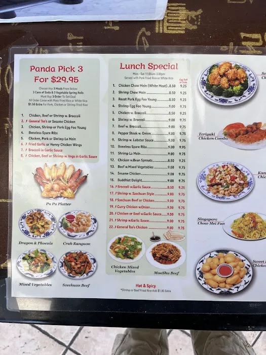 Panda Kitchen Restaurant Picture 3