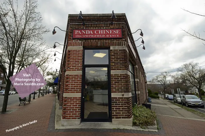Panda Kitchen Restaurant Picture 2