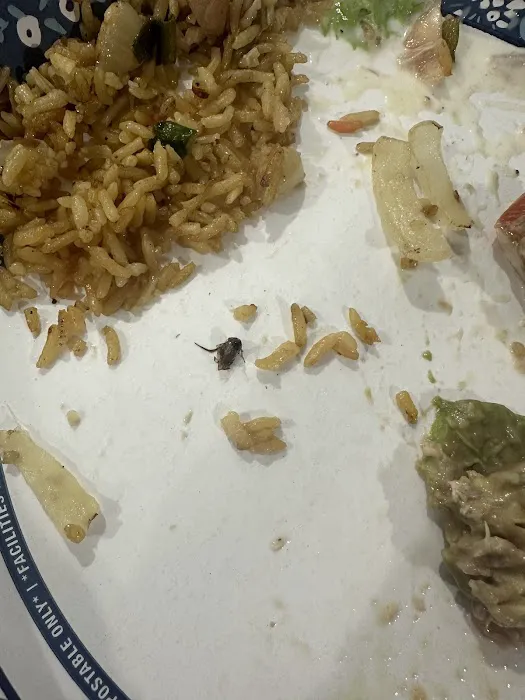 Yummy Wok Chinese Restaurant Picture 3