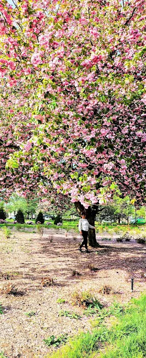 Warinanco Park Lake Snack Bar Picture 3