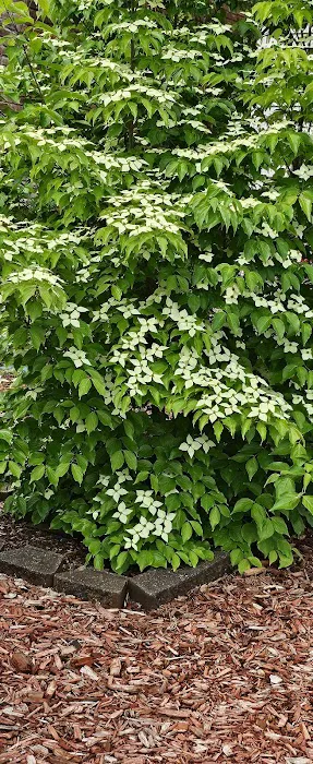 Warinanco Park Lake Snack Bar Picture 2