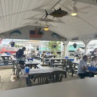 Crabby Amy's, ico
