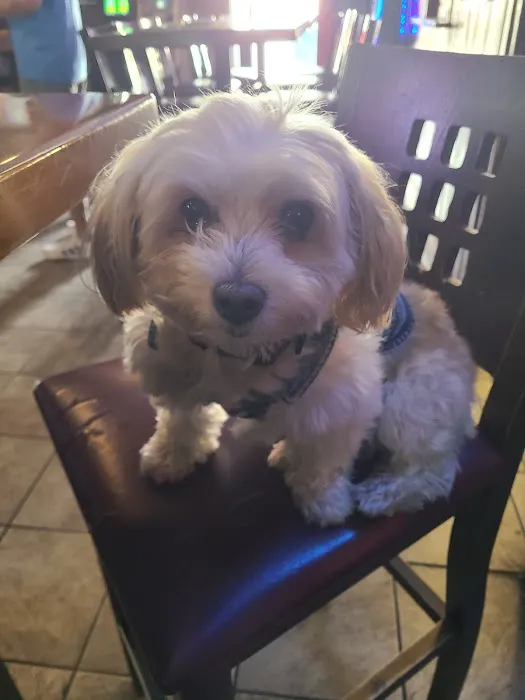 Rocky's Bar & Grill Picture 7