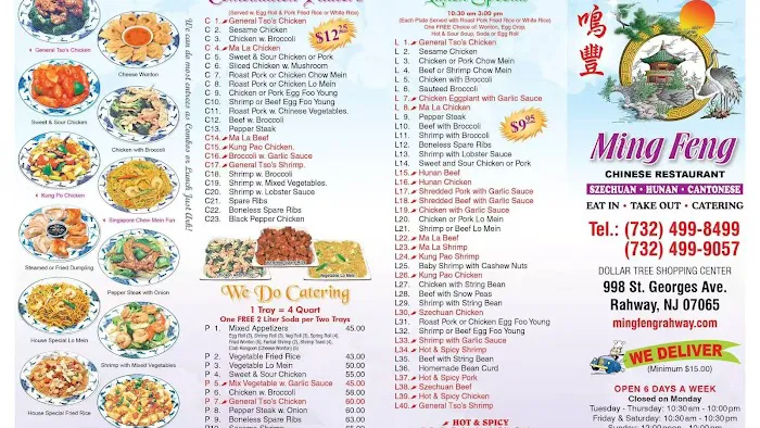 Ming Feng Chinese Restaurant Picture 9