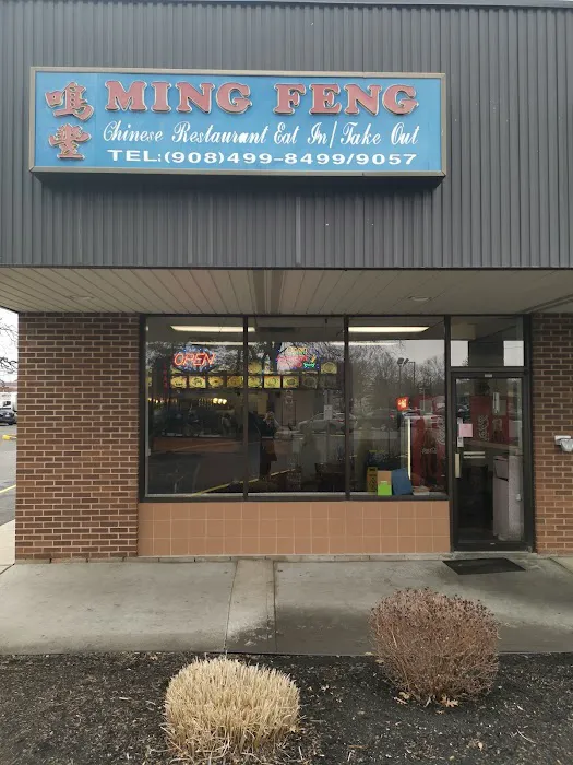Ming Feng Chinese Restaurant Picture 6
