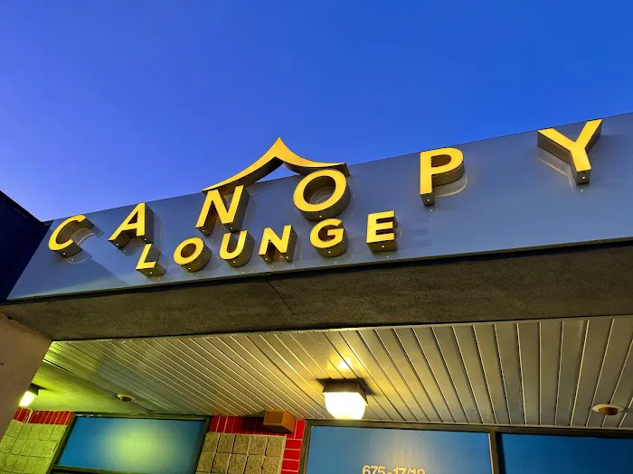 Canopy Lounge Picture 2