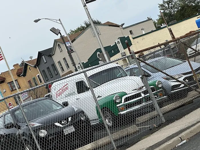 Palm Court Picture 7