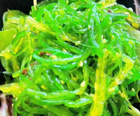 Poke House Huntington