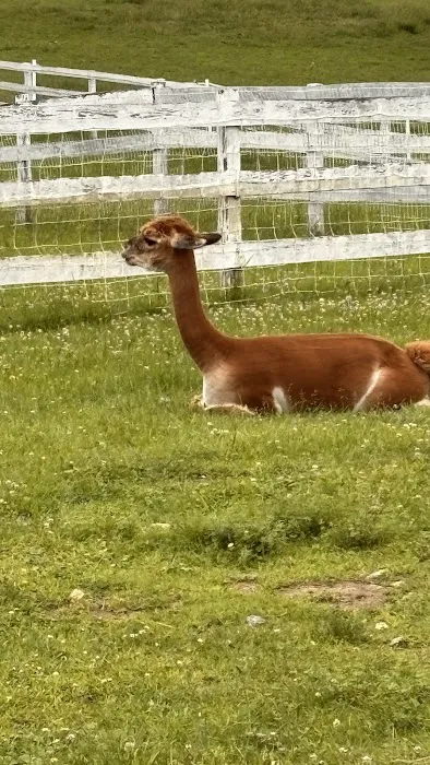 Tilly Foster Farm Museum Picture 3
