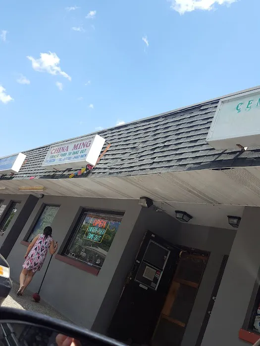 China Ming Picture 4