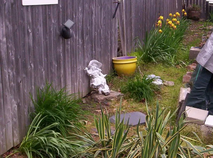 Dynasty Restaurant Picture 7