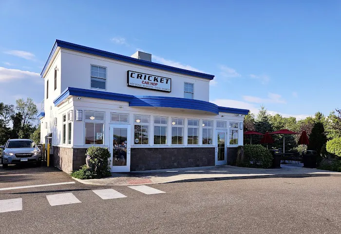 Cricket Car Hop Picture 9