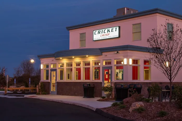 Cricket Car Hop Picture 8