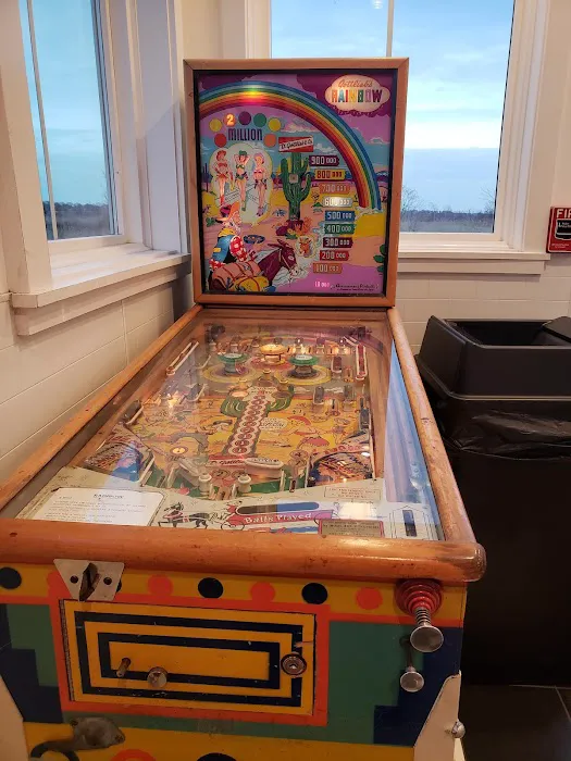 Cricket Car Hop Picture 5