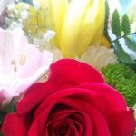 Fernandes Dos Dantos Wanderson