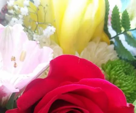 Fernandes Dos Dantos Wanderson