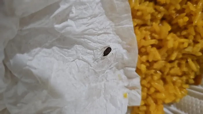 Panda Kitchen Picture 2