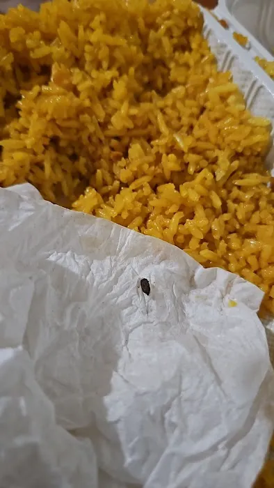 Panda Kitchen Picture 5