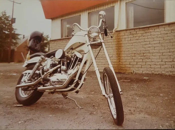 Notos chicken and pizza Picture 7