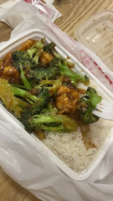 China Garden Picture 5