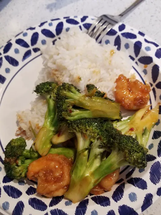 China Garden Picture 3