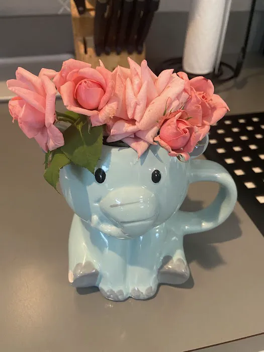 Dominican Food Restaurant Picture 5