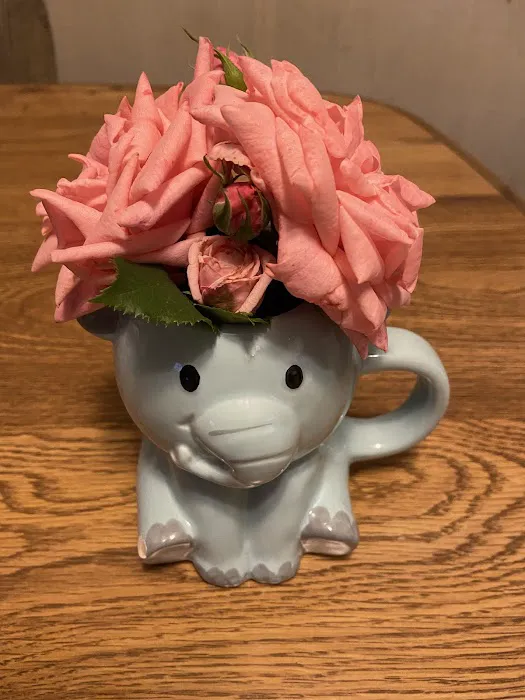 Dominican Food Restaurant Picture 1