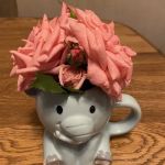 Dominican Food Restaurant