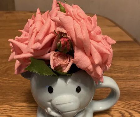 Dominican Food Restaurant