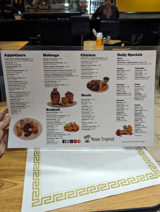 Meson Tropical Picture 10