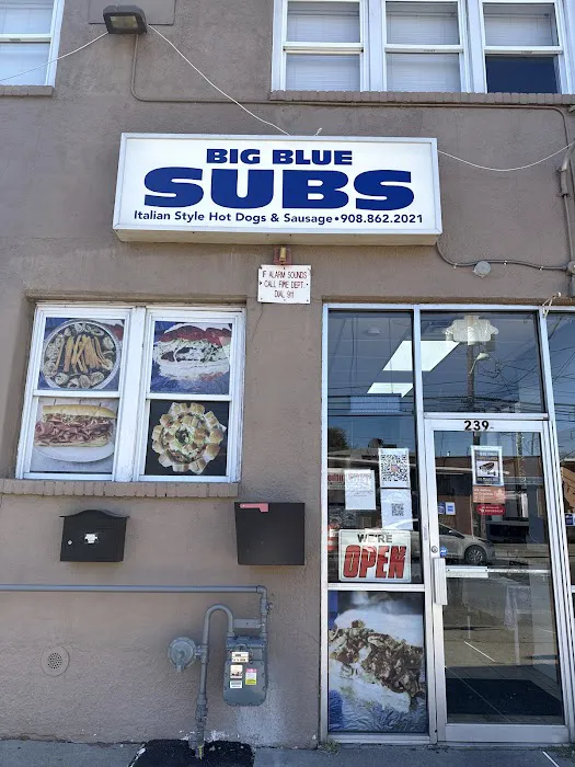 Big Blue Subs Picture 6