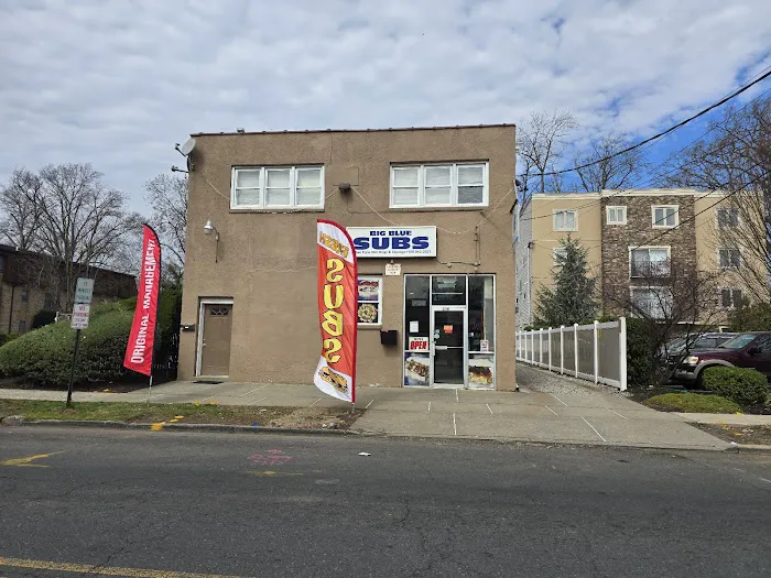 Big Blue Subs Picture 9