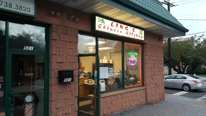 Ling's Chinese Kitchen Picture 3