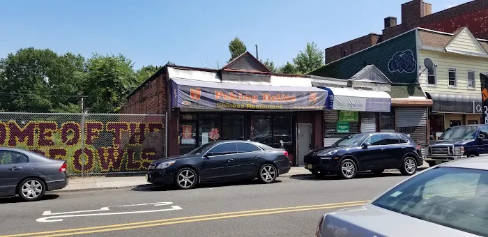 Peking Delite Chinese food Picture 4